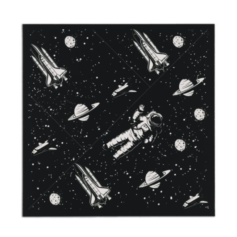 SPACEMAN PONYPACKS / SEALS 100 STUKS - Afbeelding 2